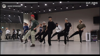 【Seventeen】次人令人震惊的学舞速度