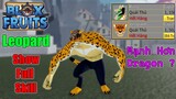 Blox Fruits - Show Full Chiêu Leopard Trái Ác Quỷ Đắt Hơn Dragon | Roblox