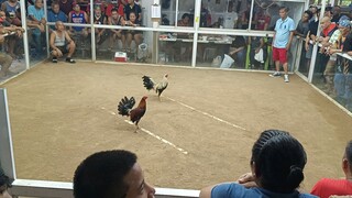 7/10