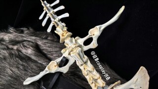 Jangan tanya kenapa saya tidak menggunakan tulang manusia untuk membuat pedang tulang belakang.