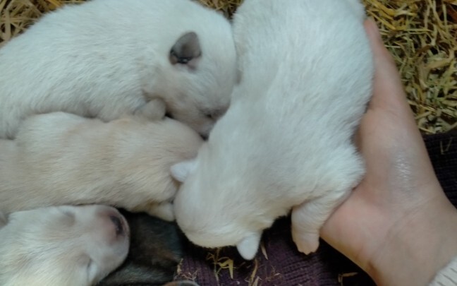Bisa kembalikan tanganku, Nak?