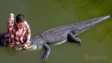 Adam Sandler fights with an alligator!