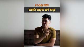 5 loại mùi mà chó cực kỳ sợ dcgr petonesaigon tuitienpet