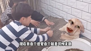 六舅二舅都来了