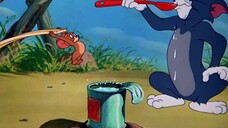 Tom and Jerry | Buddies and Lifes Compilation