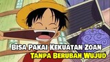 5 Karakter yang Bisa Pakai Kekuatan Zoan Tanpa Berubah Wujud di One Piece Anime