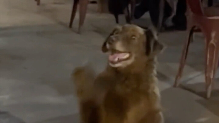 กราบสามครั้งด้วยความศรัทธา เนื้อย่างก็มาถึงปาก