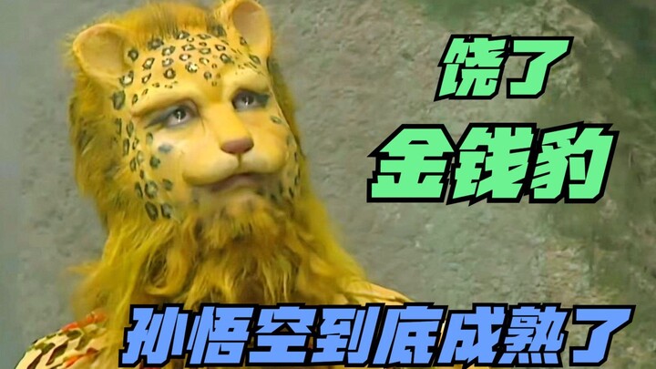 没有后台，没有关系，孙悟空为何还是不敢打死豹子精？