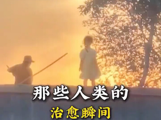 Momen-momen yang menyembuhkan itu!