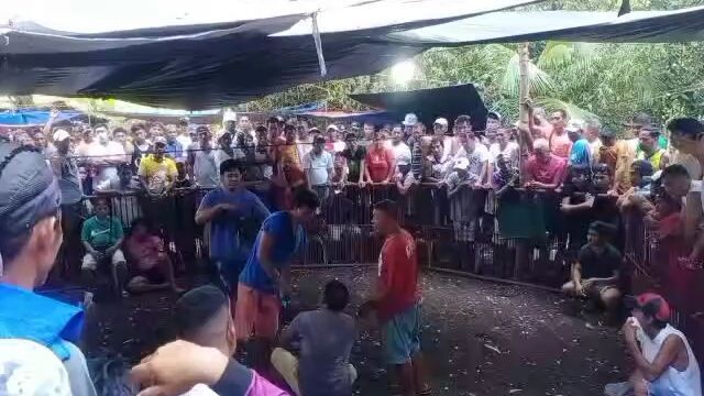 Ulutan 002