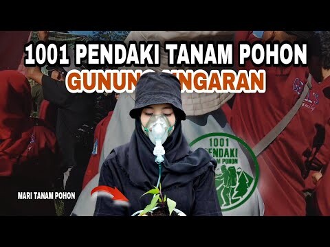 NOSTALGIA 1001 PENDAKI TANAM POHON || MT UNGARAN