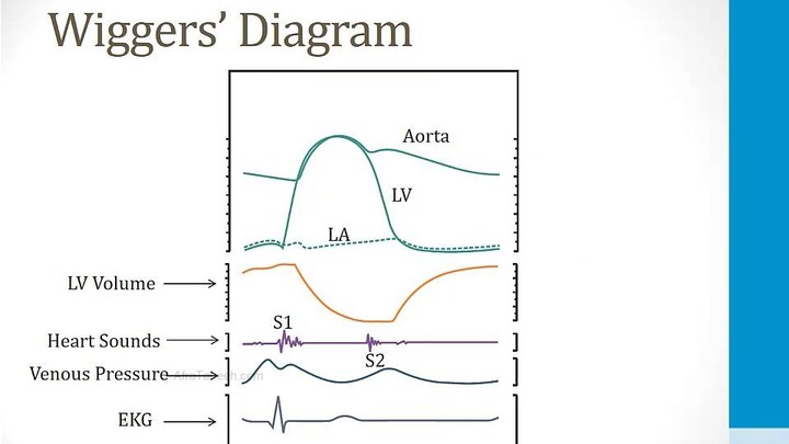 Cardiology - 1. Anatomy and Physiology - 7. Wiggers' Diagram - USMLE step 1