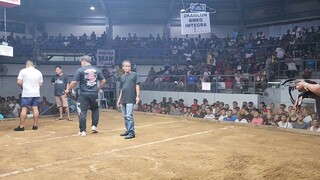 2nf fight bot 4 coleseo d manila 4cock