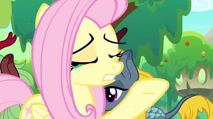 Representative Chinese horses in My Little Pony: Misty Green Mane with boundless love, and the elega