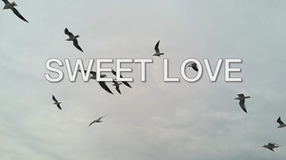 Sweet Love | Royalty Free Music by lalalune | Background Music for Video | I love seals