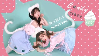 【踊ル猫曰ク】花里胡哨特效本版，万圣节一起玩耍piu~