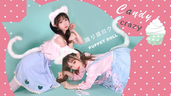 [Dance the cat said ku] bells and whistles special effects version, play together on Halloween piu~