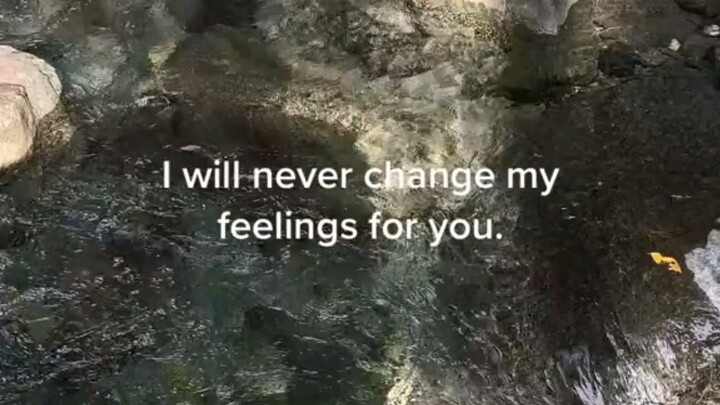 perasaanku untukmu sama sekali TDK berubah