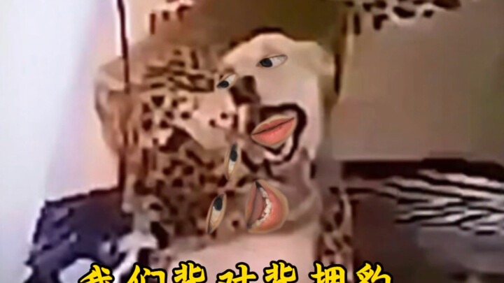 《背对背拥豹》