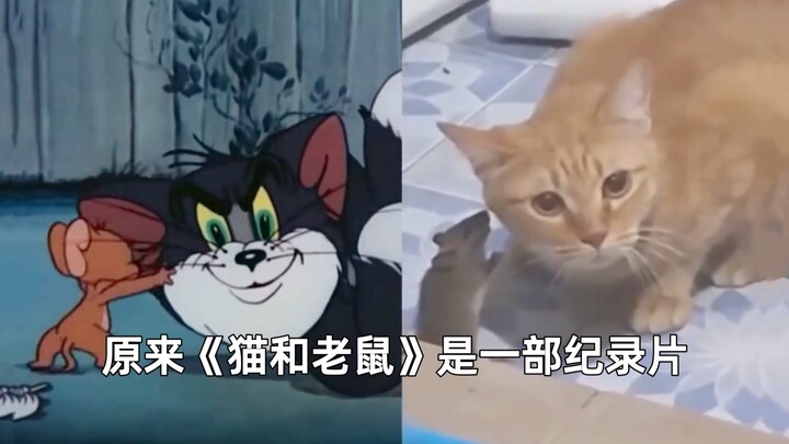 Turns out “Tom and Jerry” is a documentary