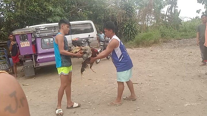 #talo poh tyo dian magulang na poh kc kalaban at malaki