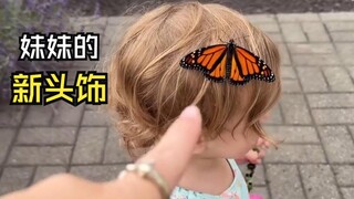 هذه الفيديوهات الحيوانية ممتعة!