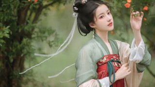 Foolish Ruler Experience Card Series