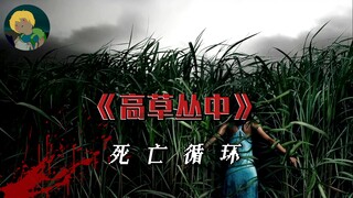 Grassy Hell! Mind-bending horror film "In the Tall Grass": The tall grass seems like a living demon,