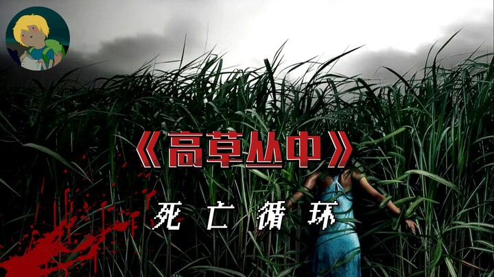 Grassy Hell! Mind-bending horror film "In the Tall Grass": The tall grass seems like a living demon,