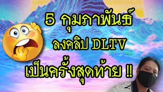 😺5 กุมภาพันธ์ ลงคลิป DLTV ครั้งสุดท้าย