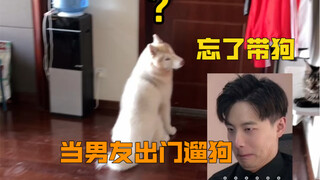 Anjing: Pemilik baik rumah siapa yang jalan-jalan dengan anjing tanpa membawa anjingnya?