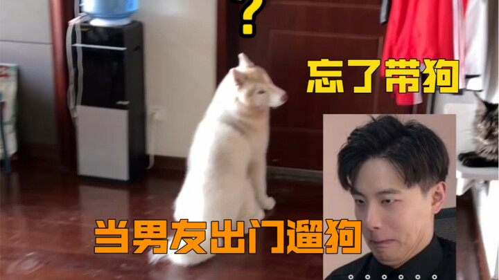 Dog: Which good owner takes their dog out for a walk without bringing the dog along?