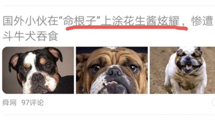 “Life-saver” coated in peanut butter gets devoured by a bulldog