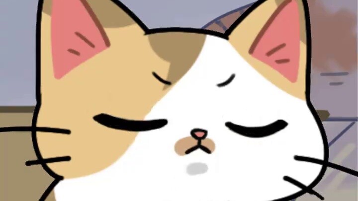 Tahukah Anda rahasia di mata kucing ini?