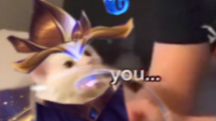 บีวายดี ชอบหมาใช่ไหม?