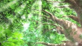 Boku ga Aishita Subete no Kimi e (Movie) | Sub Indo