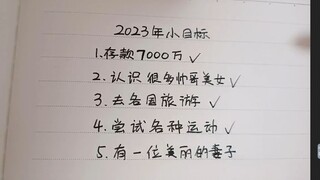 2023结束了，今年小目标都完成了，差一个