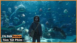 Vua Của Biển Cả Chính Là Cậu Bé Này  | Tóm tắt phim: Aquaman