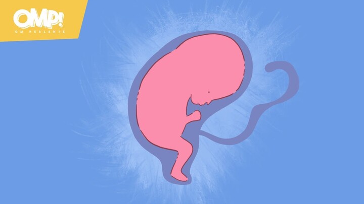 Asal Usul Si Etan - Tips Gak Bayar Angkot - Animasi Indonesia