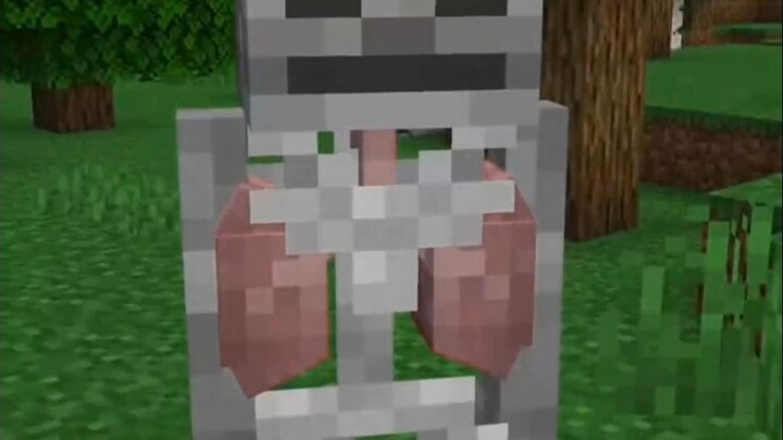 Minecraft: Lung System