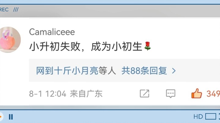 路温1900评论区好骂共赏