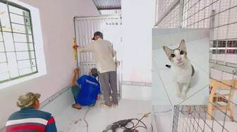 #506 Ngôi nhà thách thức Mèo