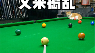 The little guy is causing trouble again