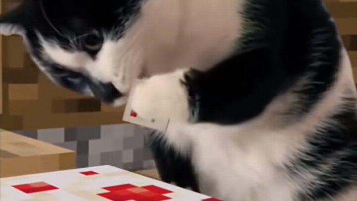 Ai vẫn quá dễ dùng rồi