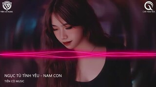 NGỤC TÙ TÌNH YÊU - NAM CON REMIX || NHẠC HOA REMIX 2022