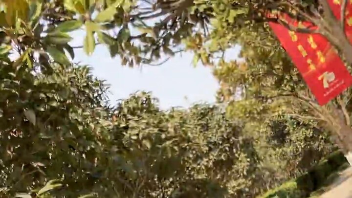 Hãy thử mang cốc về ký túc xá