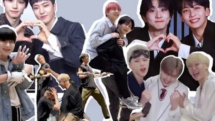 [SEVENTEEN | ENHYPEN] Just… get married already！！！！！