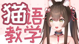 正统猫娘教你和猫猫对线【猫语教学第一回】