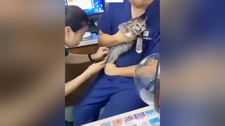 Thương thật sự🤣mèo cute foryou