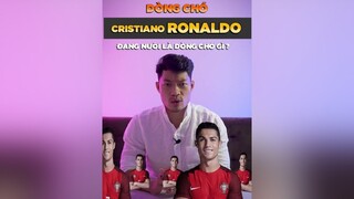 Dòng chó mà CR7 đang nuôi là dòng chó gì? dcgr tuitienpet pet learnontiktok